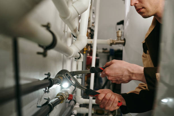 Best Local Plumber Services  in Carol Stream, IL