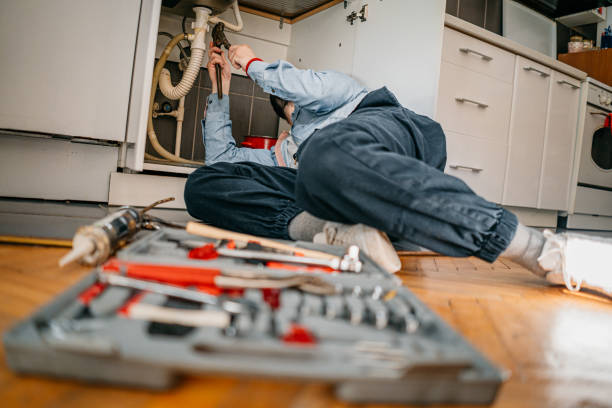 Best Plumbing Repair Near Me  in Carol Stream, IL