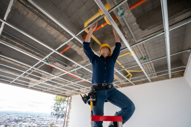 Best Sprinkler Systems  in Carol Stream, IL