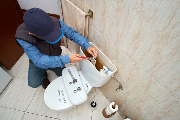 Best Commercial Plumbing Services  in Carol Stream, IL
