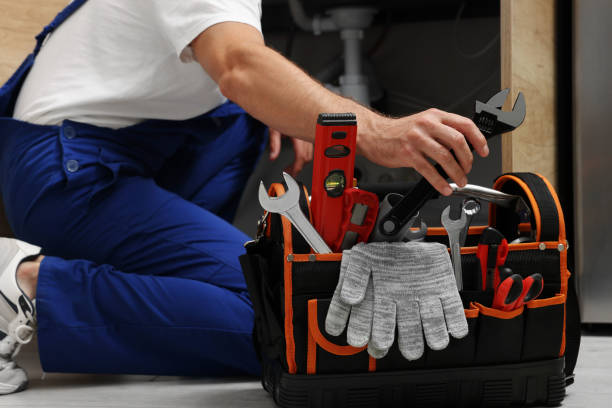  Carol Stream, IL Plumbing Pros