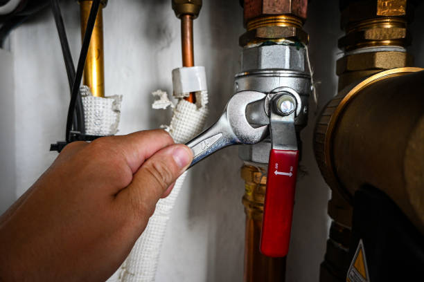 Best Clogged Drain Plumber  in Carol Stream, IL